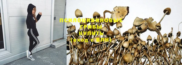 марки nbome Белокуриха