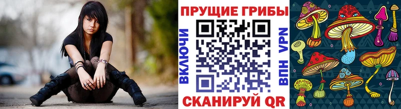 Псилоцибиновые грибы Psilocybe ссылка на мегу ONION Новая Ладога магазин продажи