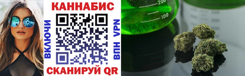 продажа наркотиков  Новая Ладога  Шишки марихуана индика 